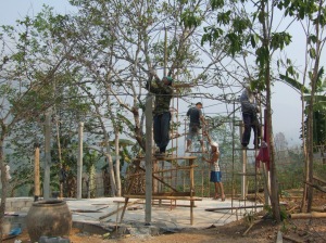 The team constructs the Jungle Dome bird cage.