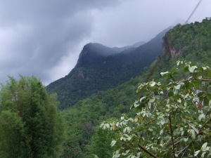 Rain clouds gather over Chiang Dao Mountain: view from my hammock.