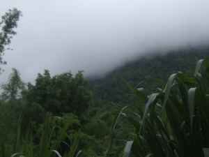 Mount Chiang Dao disappears completely in a rain cloud.